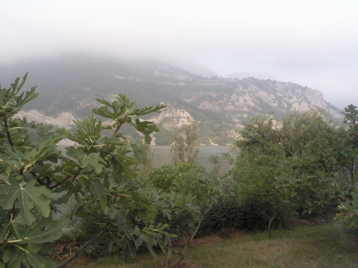 dimineata , se ridica ceata - Vacanta pe clisura Dunarii