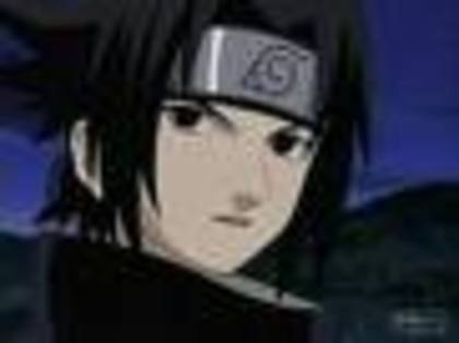 images[1]