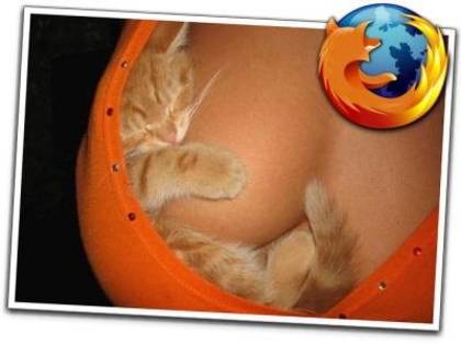 sexy_firefox_logo - Animale si Insecte