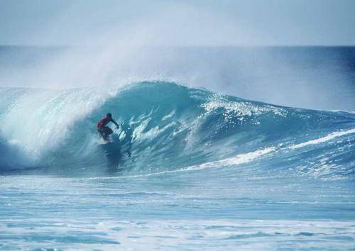 poza din hawaii; surf
