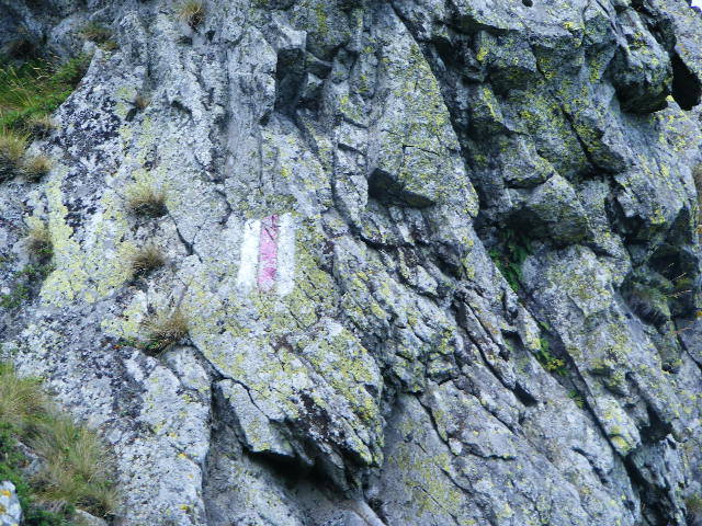 DSCF4417 - 2 august 2009 Traseu Suior Secatura Creasta Cocosului Gutaiul Doamnei  Vf Gutai