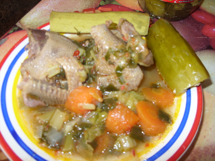 tocanita de porumbel