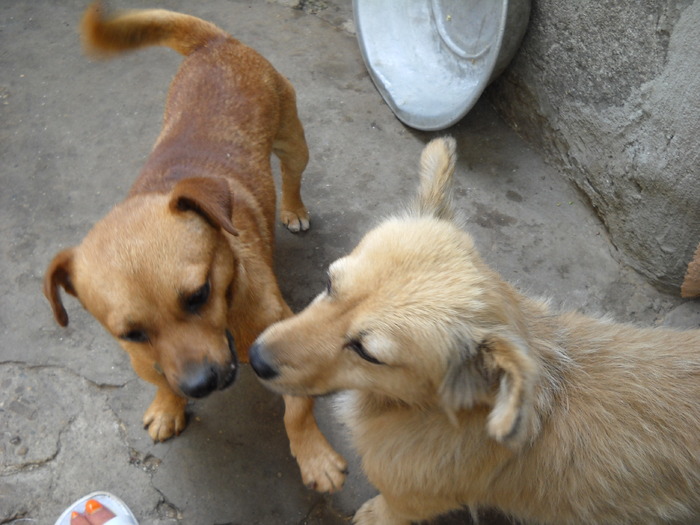 Picture 062; 3.70mb jpeg 8/25/2009 5:04pm
