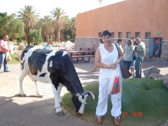 280 Israel - in drum spre Timna Park - 2008 ISRAEL NOIEMBRIE