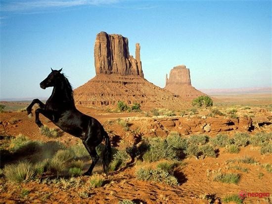 54158836_0020000946070_00_600