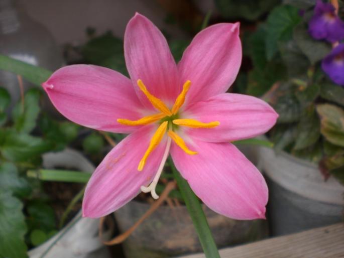 21 sept 2008 019