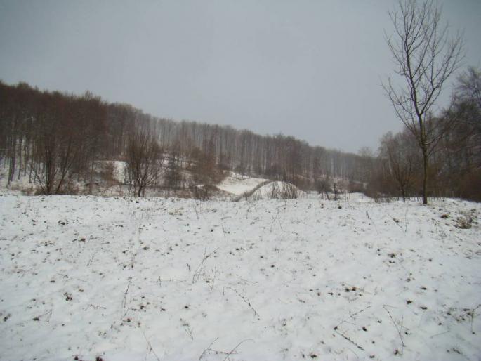 DSC02265 - 2008-02-11 - La Pucioasa-Targoviste-Fieni