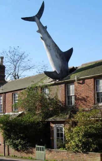 image016; \'The Shark\' (Headington, Oxford )
