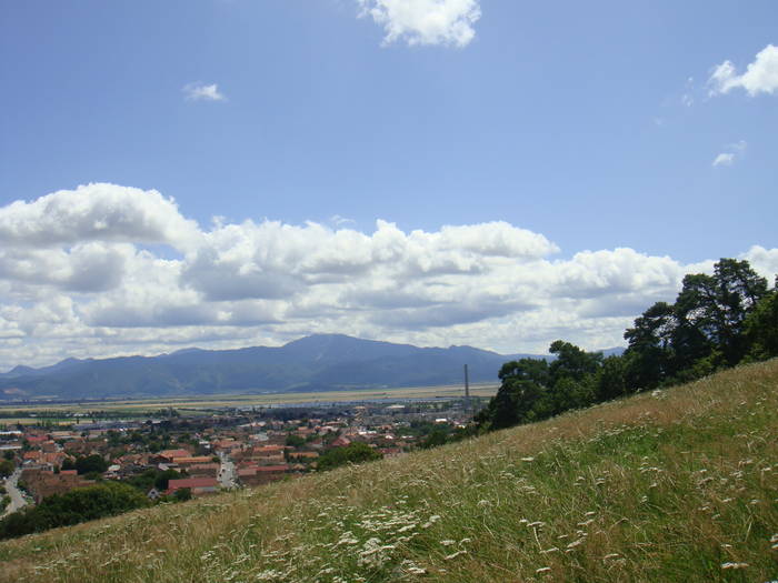 205 - vacanta 23  28 iulie 2009