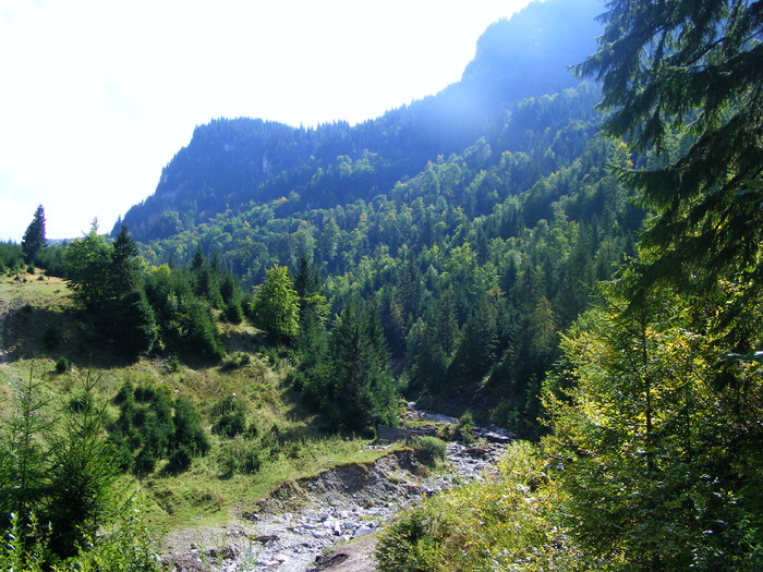 DSCF6346 - muntii Rodnei