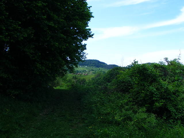 DSCF0599