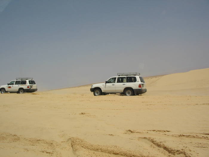 prin desert - Tunisia