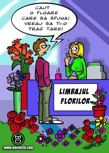 limbajul-florilor1226585509[2]