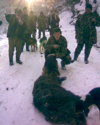 Image003