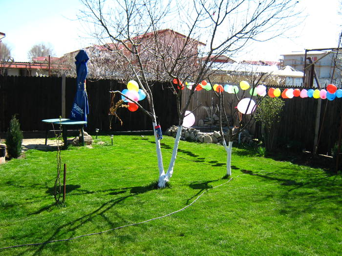 IMG_5803 - LOC DE JOACA PENTRU COPII