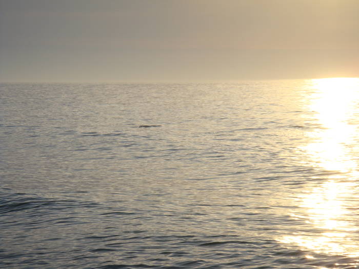 207 - 19 aprilie 2009 rasaritul