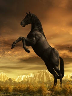 647678 - Mobile Wallpapers