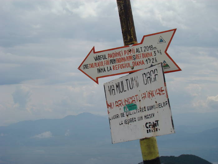 DSC03793 - Concediu 2009