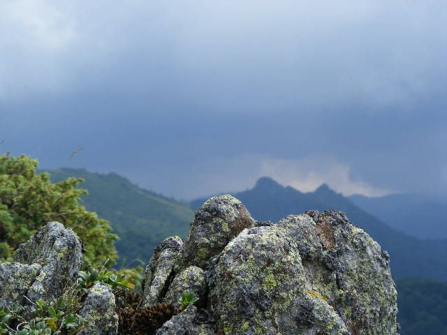 DSCF3076