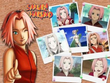 ai239662n792279 - album pentru ANIMESAKURA