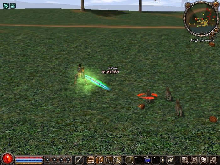 1205_204449 - metin 35 pserver poze noi