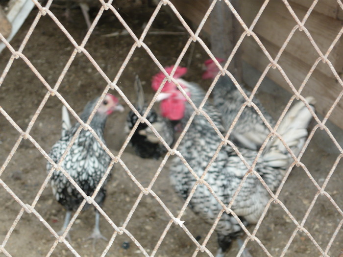 P1000755