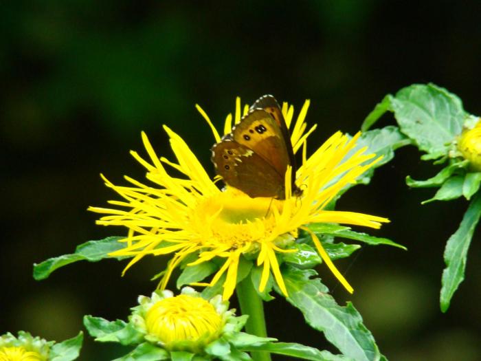 DSC02102 - Concediu 2008