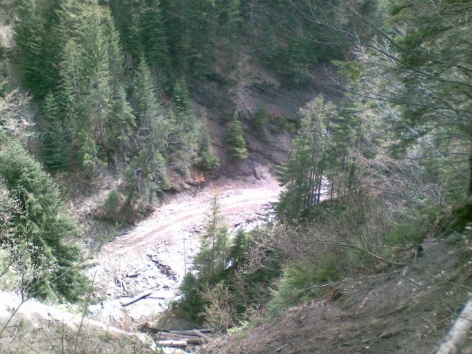 Copy of 22042008(006)