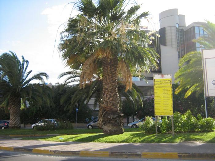 11.07.2007 (104)