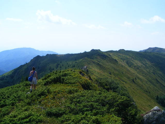 DSCF4377 - 2 august 2009 Traseu Suior Secatura Creasta Cocosului Gutaiul Doamnei  Vf Gutai