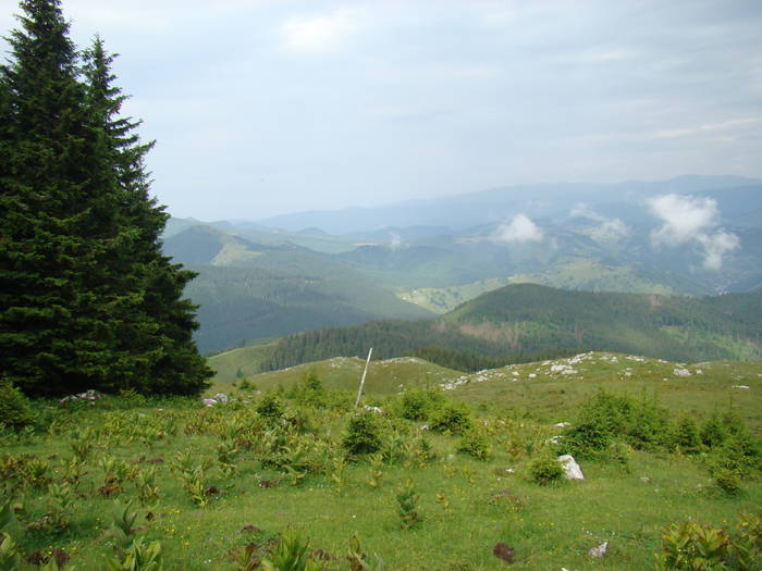 DSC03937 - Concediu 2009