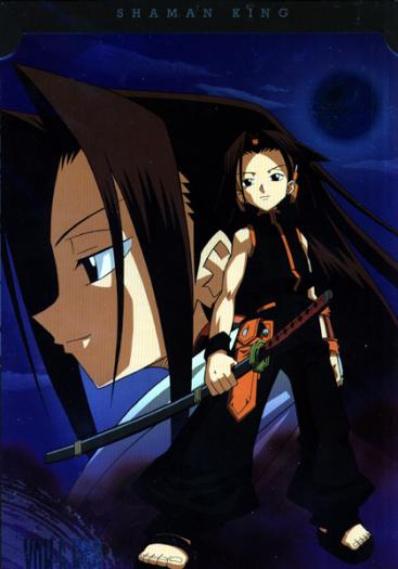 26244186 - shaman king