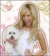 ashley tisdale and her dog - poze cu asley tisdale