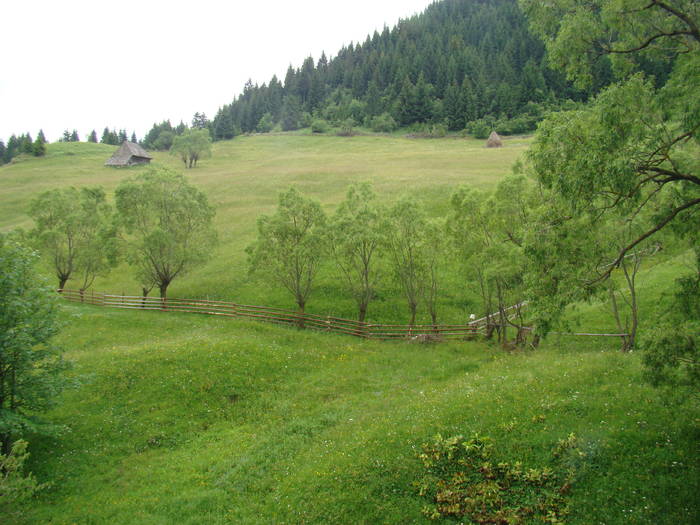 DSC03895 - Concediu 2009