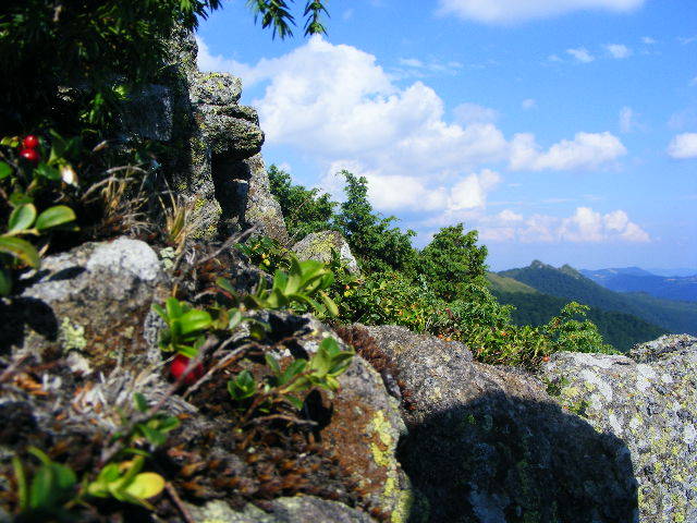 DSCF4479