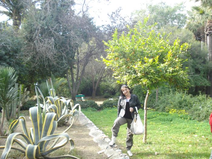 Picture 391 - 2009 REVELION CIPRU