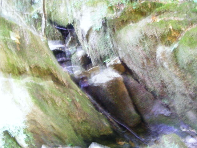 DSCF5175