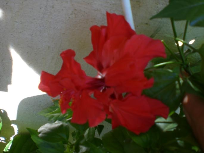 aug 2008 038
