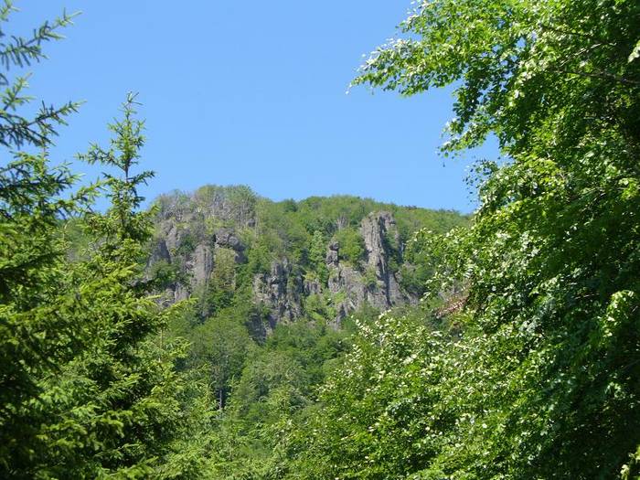 P1000577 - varful Ignis Maramures