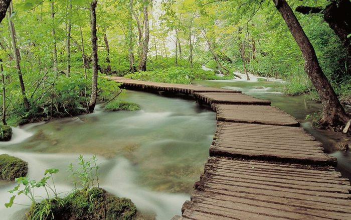 Plitvice20National20Park2C20Croatia1 - 171 - Nature Wallpapers