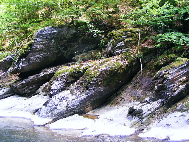 DSCF5134