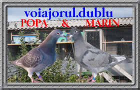 Banner Voiajorul; WWW.VOIAJORUL.DUBLU.RO
