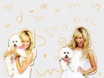 xd (60) - high school musical