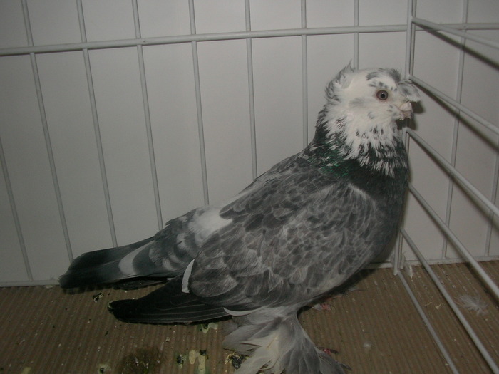 SANY0133