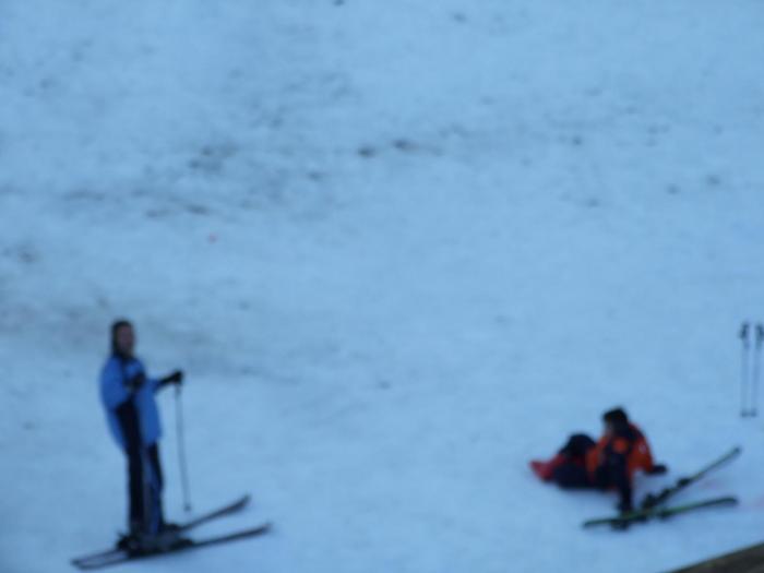 Cheile Gradistei 12.2008 036