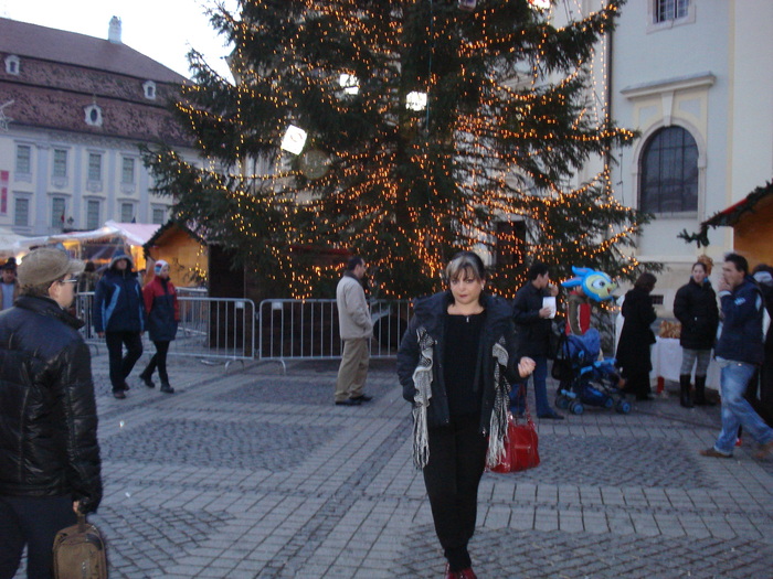 DSC06262 - 2010 REVELION SIBIU