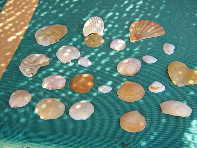 IMG_4415 - Algarve 2008