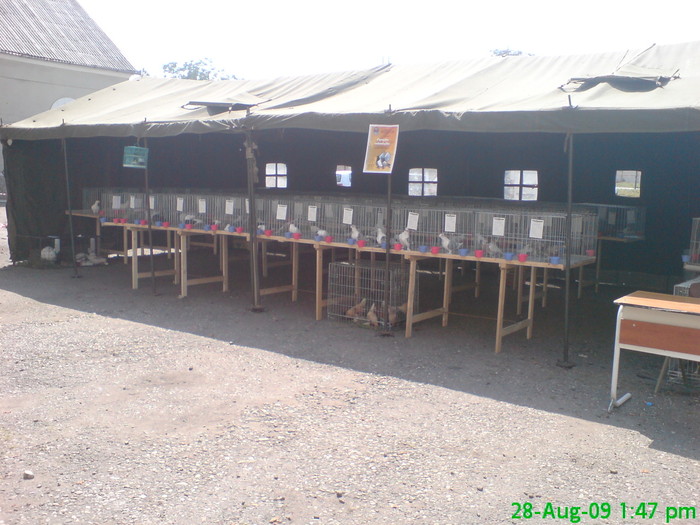 DSC05185
