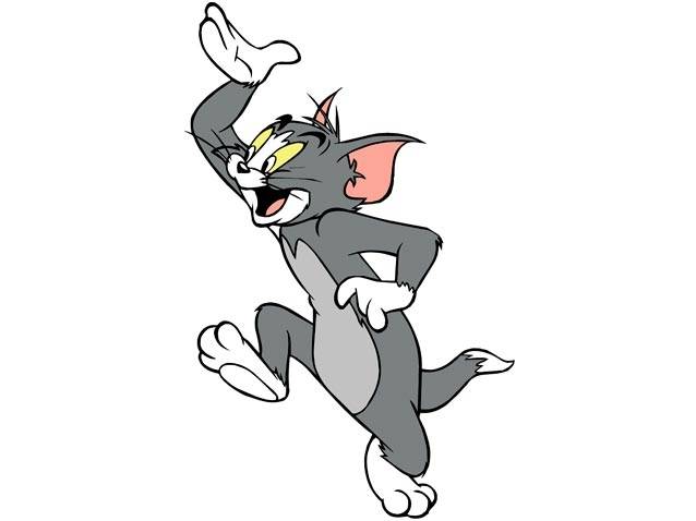 210-378 - Tom si Jerry