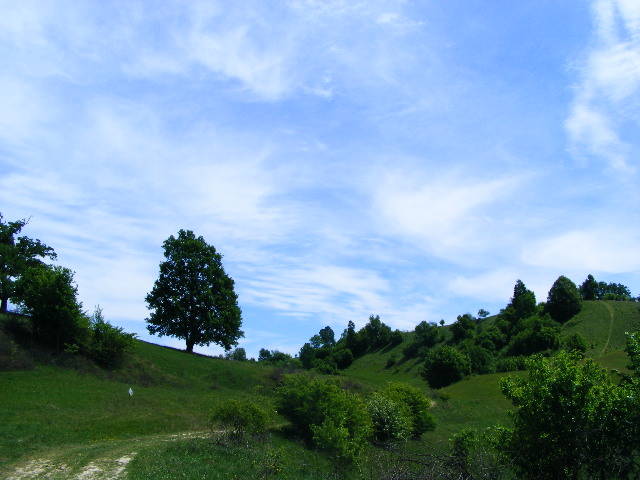 DSCF0530